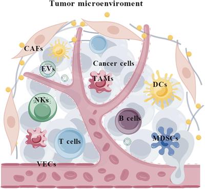 The RNA m6A writer METTL3 in tumor microenvironment: emerging roles and therapeutic implications